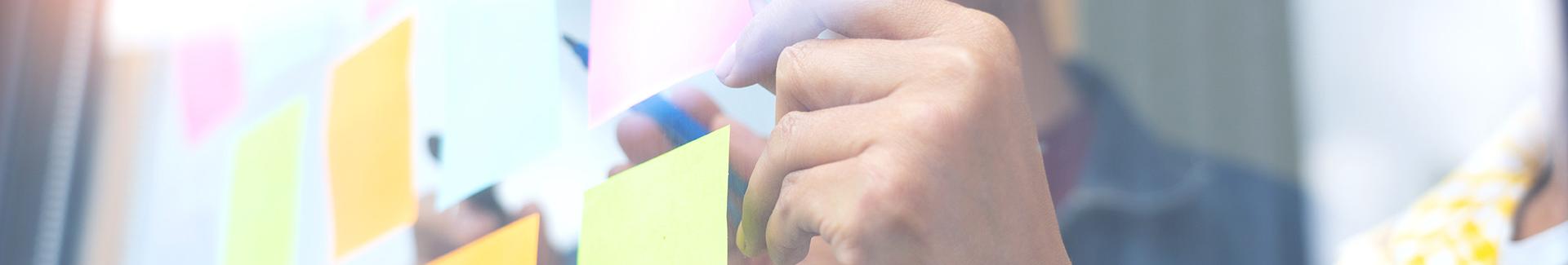 Le Conseil consultatif de la Solidarité internationale